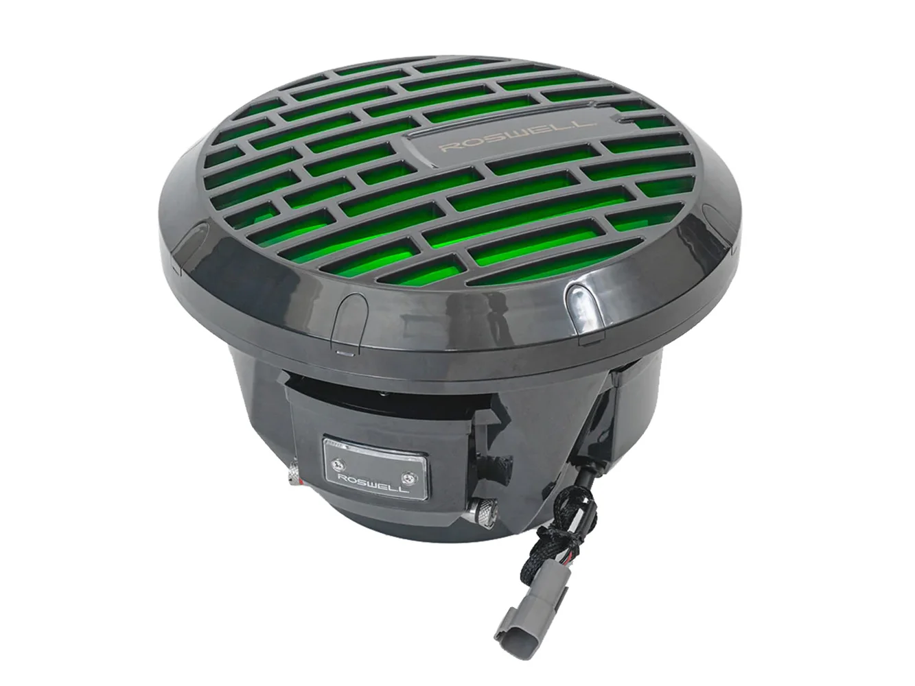 Roswell RMA 10" Subwoofer - Black - 250W RMS & 500W Peak Power