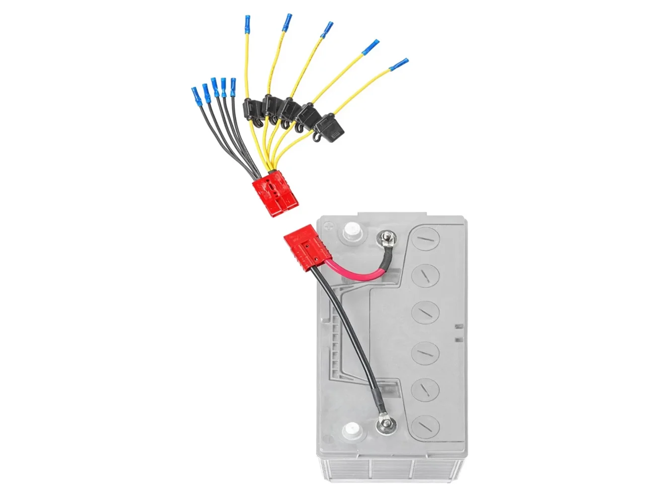 Connect-Ease Multi 5 Fused Lead Accessory Connection System