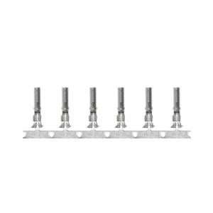 Pacer DTP Deutsch Socket f/10 AWG Wire - Size 12 Contact (10 Pack)
