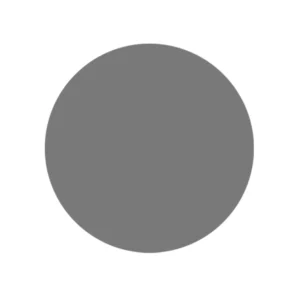 RUPES WETFINISH Foam Abrasive Discs 75mm (3") P3000 Grit - Grey *Box of 20pcs