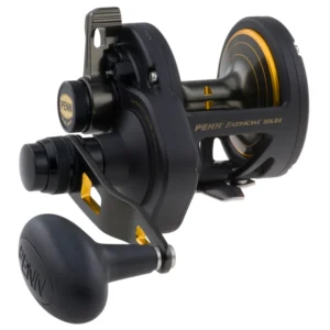 PENN FTH30LD2 Fathom® Lever Drag 2 Speed Conventional Reel