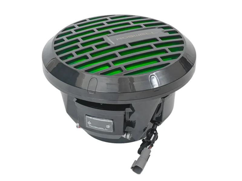 Roswell RMA 10" Subwoofer - Black - 250W RMS & 500W Peak Power