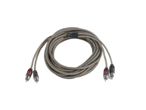 Roswell 1F to 2M Y Adapter