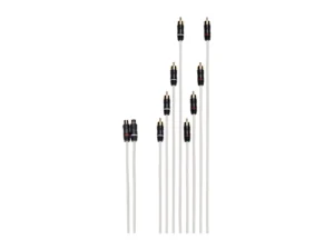 Fusion Performance RCA Cable - Dual Female to 8-Way Male