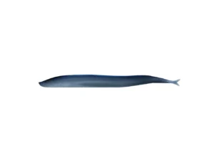 Berkley Gulp!® Saltwater Sand Eel - 5" - Silver Mud