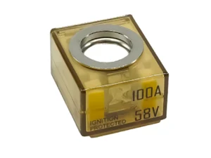 Egis MRBF Terminal Fuse - 100 Amp