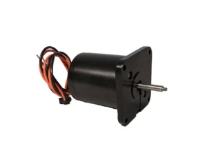Raritan Sea Era Discharge Motor - 12V