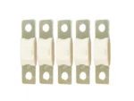 Victron MEGA Fuse 100A/80V (Package of 5 Pieces)