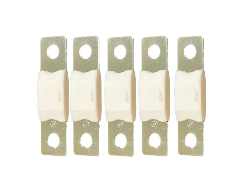 Victron MEGA Fuse 100A/80V (Package of 5 Pieces)