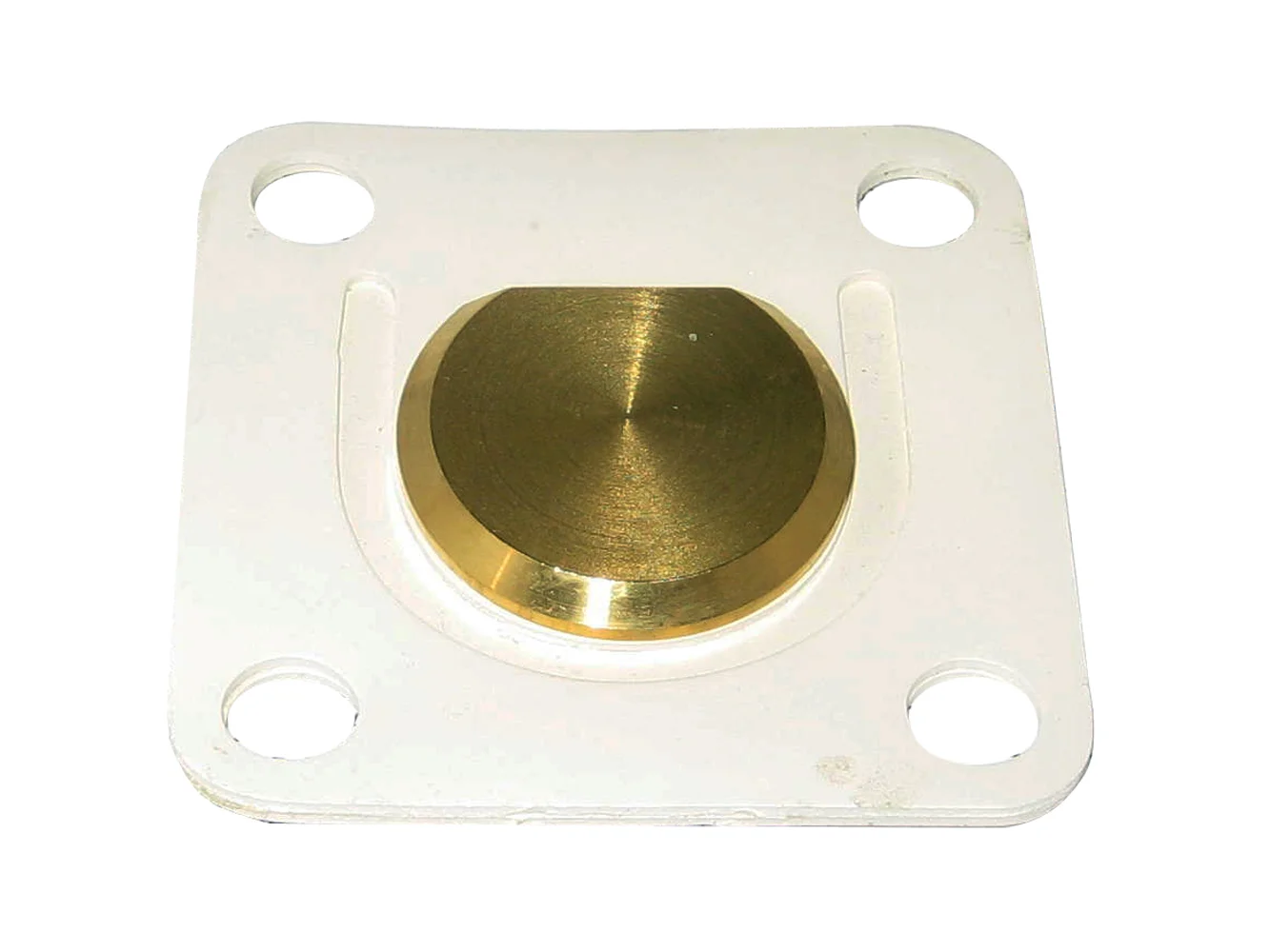 Raritan Flapper Valve Assembly f/PHII & PHEII