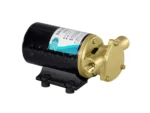 Jabsco Wakeboard Ballast Puppy w/Reversing Switch - 12V