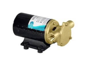 Jabsco Wakeboard Ballast Puppy w/Reversing Switch - 12V