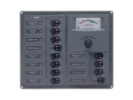 BEP Panel 12SP DC12V Analog