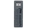 BEP AC Circuit Breaker Panel w/Digital Meters, 8SP 2DP AC230V ACSM Stainless Steel Vertical
