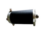 Maxwell P10068 Motor - 12V