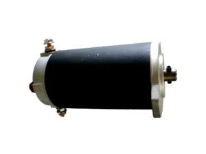 Maxwell P10068 Motor - 12V