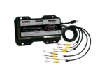 Dual Pro Professional Series Battery Charger - 45A - 3-15A-Banks - 12V-36V