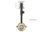 OceanLED Sport 3116d DockLight - Ultra White
