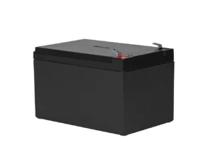 Garmin 12 Ah Lead Acid Battery