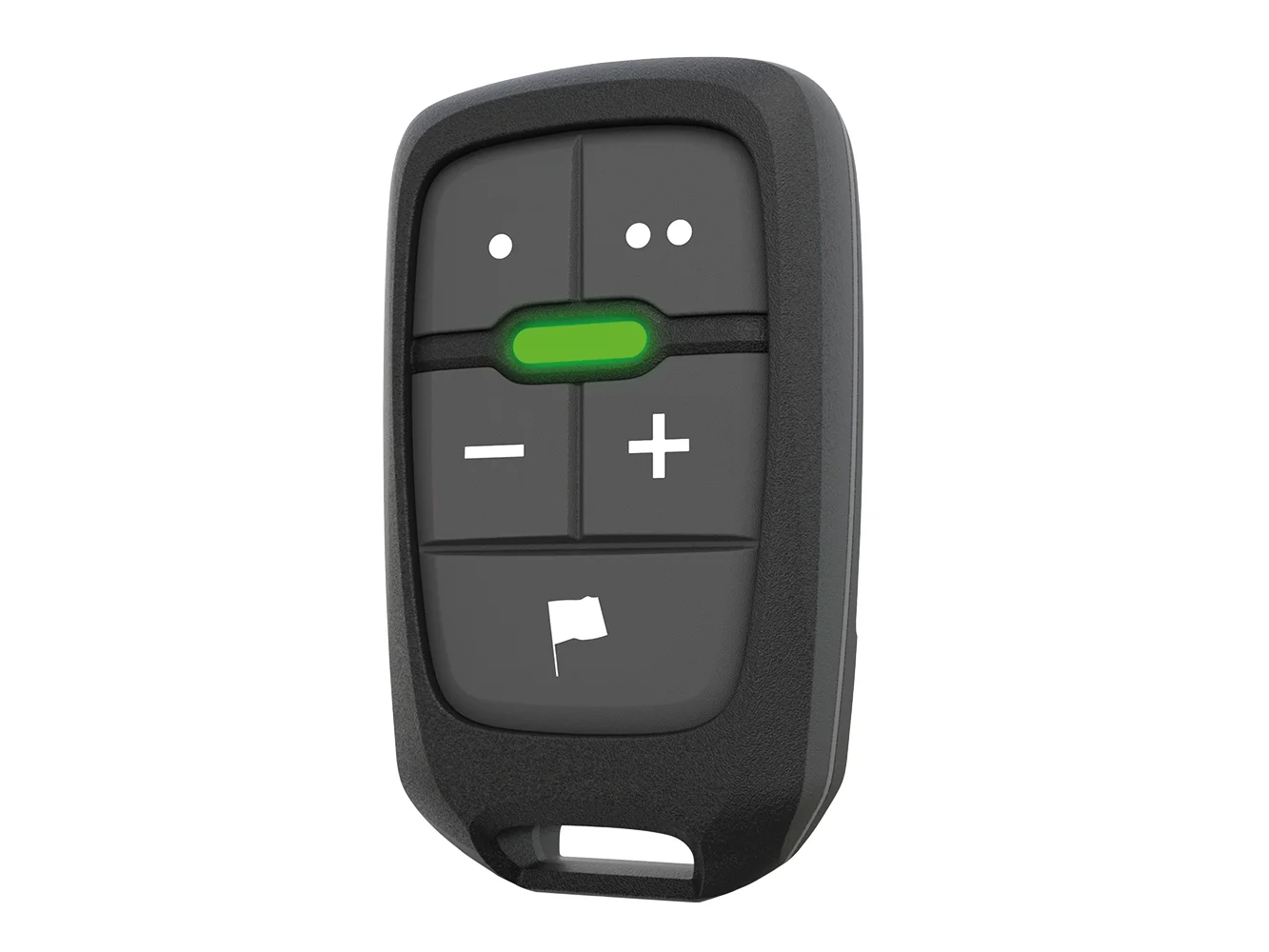 Lowrance LR-1 Remote Controller