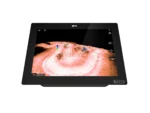 Raymarine Axiom+ 12 RV 12" Chartplotter/Fishfinder w/RV-100 T/M Transducer & Lighthouse North America Chart