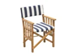 Whitecap Director's Chair II w/Navy & White Cushion - Teak