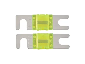 T-Spec V8 Series 100 AMP Mini-ANL Fuse - 2 Pack