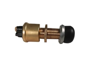 Raritan Heavy-Duty Push Button Switch - Brass